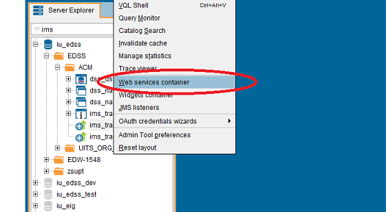 Tools menu open with Web services container option highlighted