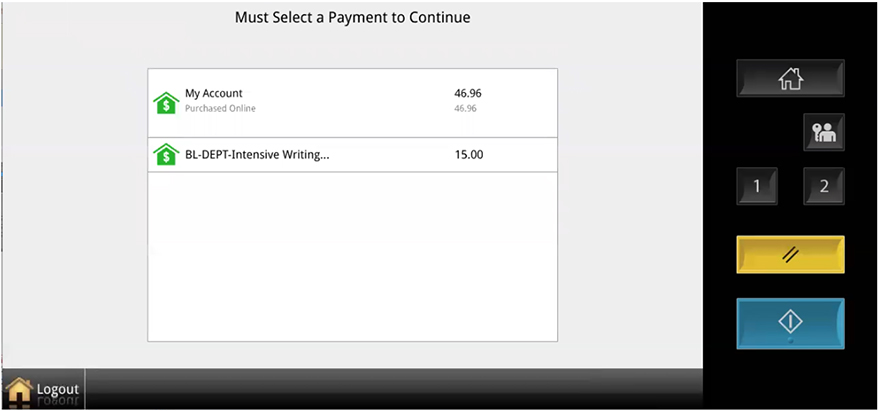 Two payment options are displayed.